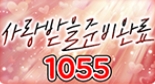 1055